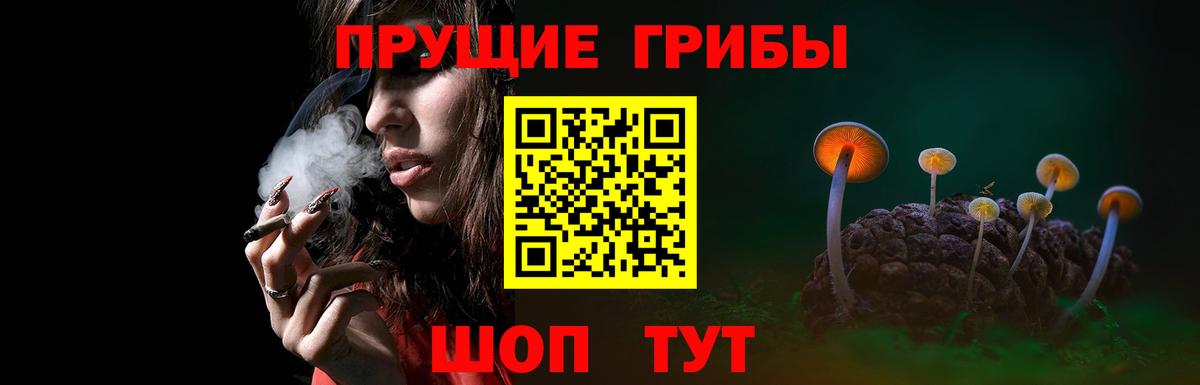 Можайск  Псилоцибиновые грибы прущие грибы  Вход с VPN 