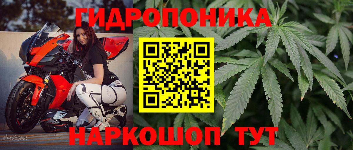Марихуана AK-47  Бошки марихуана семена  Вход с VPN  Марихуана THC 21%  Можайск 